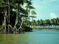 05 - Trinidad/ Tobago