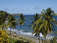 06 - Trinidad/ Tobago